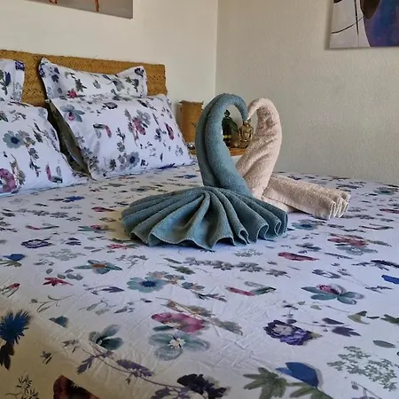 Magnigifique T3 Proche De La Fréjus