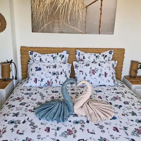 アパート Magnigifique T3 Proche De La Fréjus