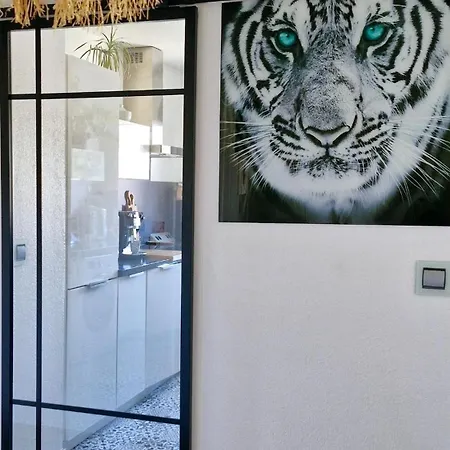 Magnigifique T3 Proche De La Fréjus