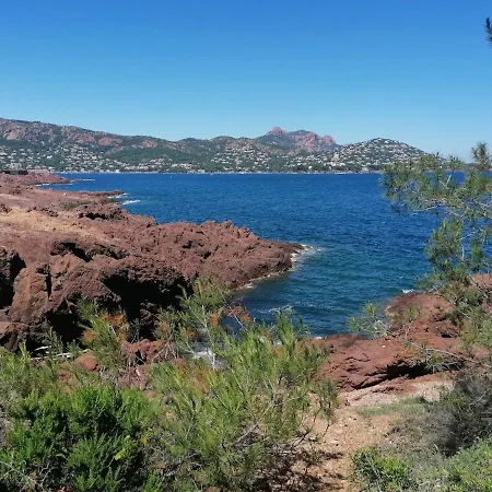 Magnigifique T3 Proche De La Fréjus